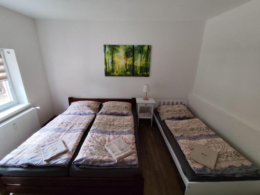 Apartman Terezka Jilove Экстерьер фото