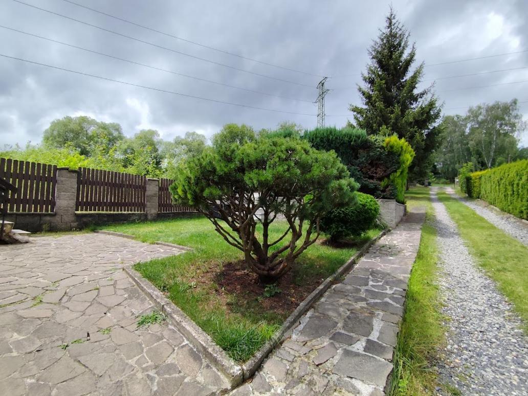 Apartman Terezka Jilove Экстерьер фото